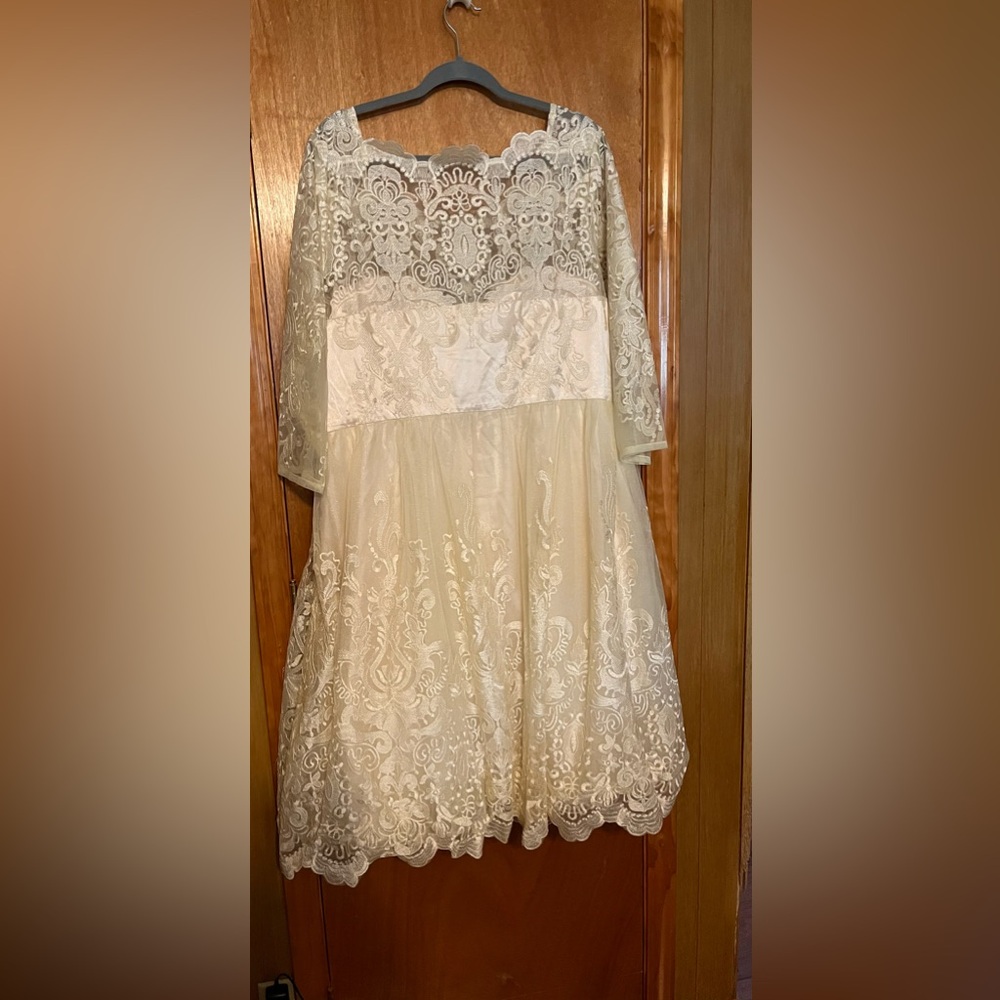 Chi Chi London. Special occasion dress. New with tags size 26 champagne